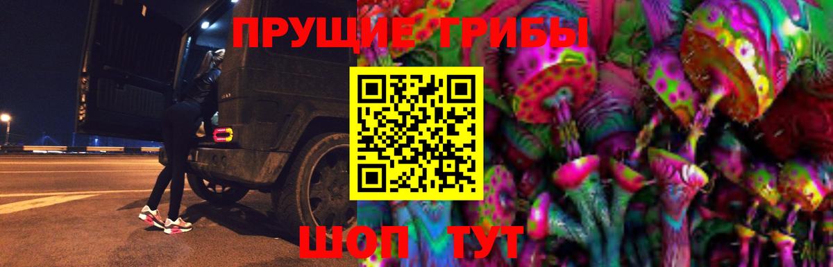 Псилоцибиновые грибы Psilocybe Кызыл
