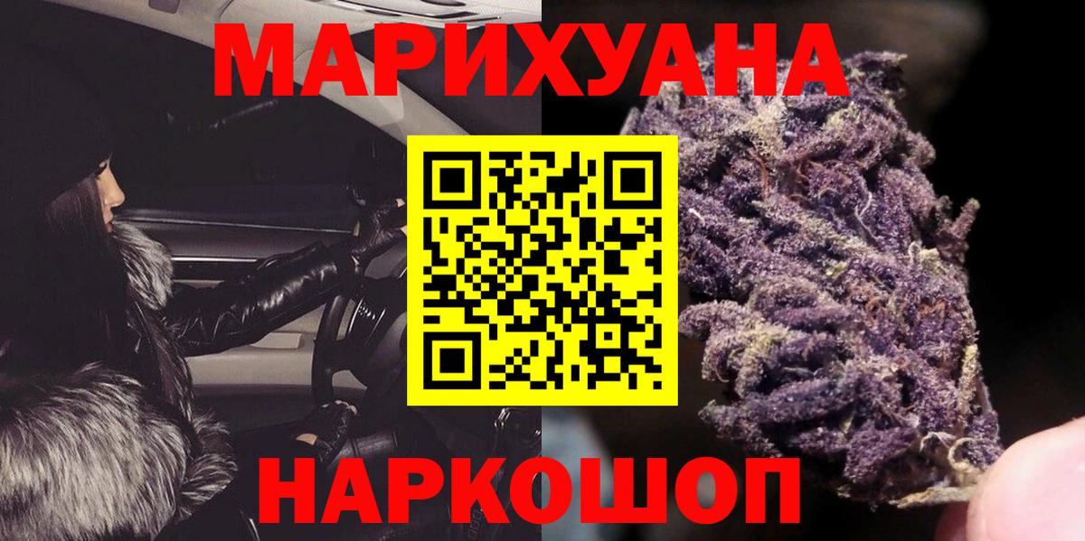 Конопля сатива Кызыл